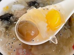 -凉凉海石花