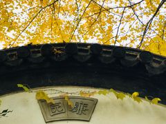 -汇龙潭