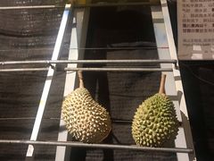 -都念榴莲·城市榴莲