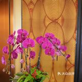 【怒推】叶马餐厅，让你告别“踩雷”的烦恼