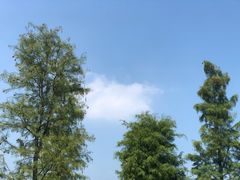 -飞来湖湿地公园