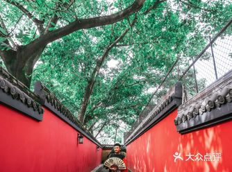 何必花钱去武侯祠重庆免费打卡红墙绿林