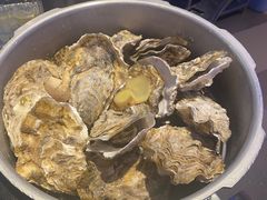 -千岛蚝高压锅生蚝·人参火锅(白云万达店)