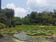-中国科学院西双版纳热带植物园