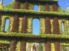 -武清南湖绿博园