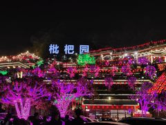 -枇杷园食为鲜火锅(南山店)