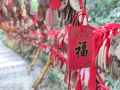 -广州市白云山风景名胜区