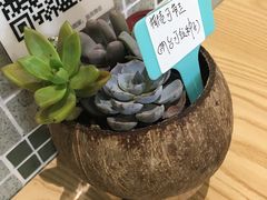 -五月甜品(中山公园店)