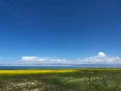 -青海湖国家重点风景名胜区