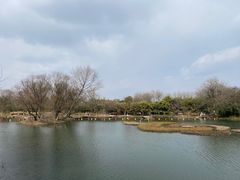 -西溪国家湿地公园