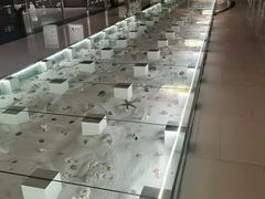 -青岛贝壳博物馆