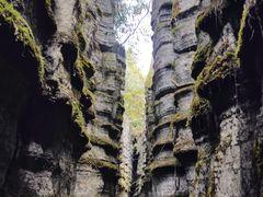 -梭布垭石林景区