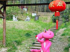 -宁波浙东大竹海景区