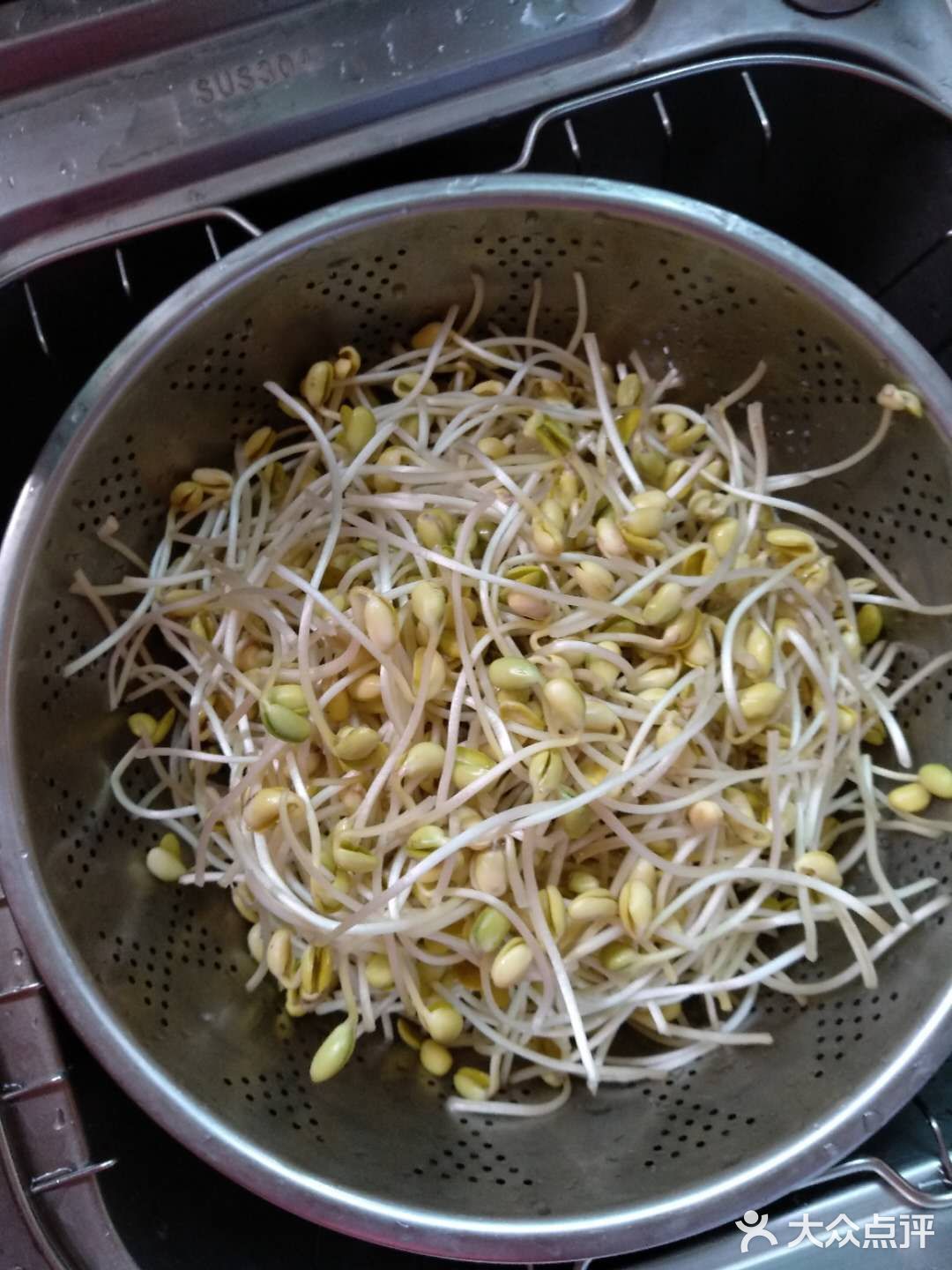 家里的黄豆芽又种出来了清炒黄豆芽上线
