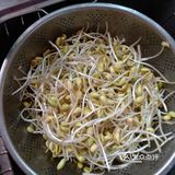家里的黄豆芽又种出来了清炒黄豆芽上线