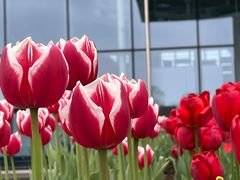 -南通洲际绿博园