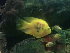 -苏州海洋馆
