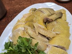 -瑞记湛江鸡饭店·粤西第一鸡(粤垦店)