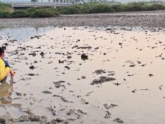 -坝光海滩