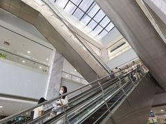 -上海市第六人民医院(临港院区)