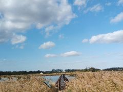 -盐城丹顶鹤湿地生态旅游区