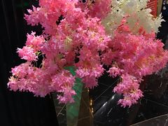 -春天国际影城(中庚漫游城杜比全景声店)