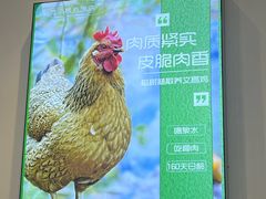 -文昌鸡饭店110号(中山路店)
