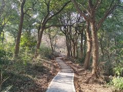 -平湖九龙山庄园圣马可酒店