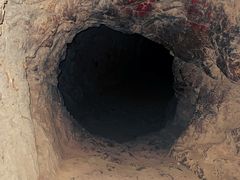 -上海佘山国家森林公园天马山园