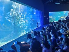 -江和美海洋公园