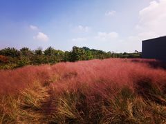 -下渚湖国家湿地公园科普馆