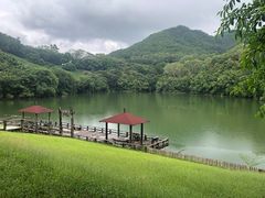 -雁南飞茶田景区