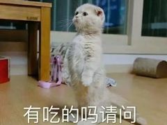-必胜客(滨江店)