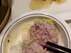 -丁老爷子苏香圆