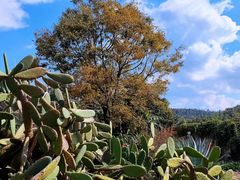 -昆明市金殿名胜区