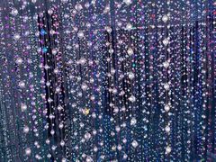 -上海梵高星空艺术馆(南京路旗舰店)