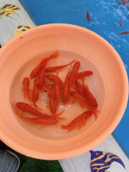 点击看大图 -萌宠亲子动物乐园(槐房万达店)