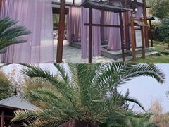 -咸宁万豪温泉谷度假区