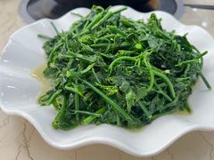 -翡翠老鸭店