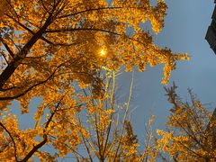 -高庙村(地铁站)