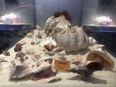 -福州罗源湾海洋世界旅游区