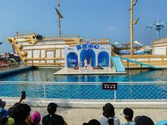 -秦皇岛乐岛海洋王国