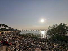 -宝安西湾红树林湿地公园