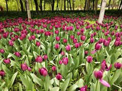 -长春公园(普阳街道)