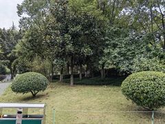 -龙头寺公园