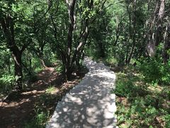 -沈阳辉山风景区