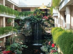 -广州白天鹅宾馆