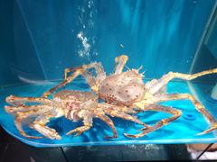 -蟹田居·活蟹料理(东城店)