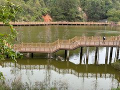 -神光山国家森林公园