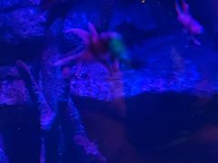 -沈阳海洋探索中心